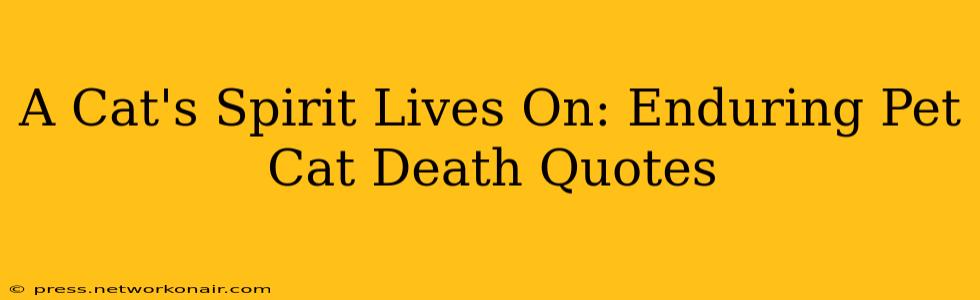 A Cat's Spirit Lives On: Enduring Pet Cat Death Quotes