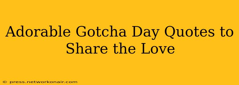 Adorable Gotcha Day Quotes to Share the Love