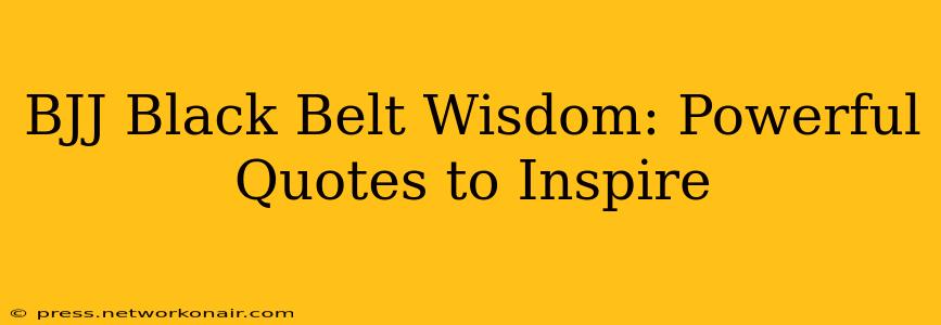 BJJ Black Belt Wisdom: Powerful Quotes to Inspire