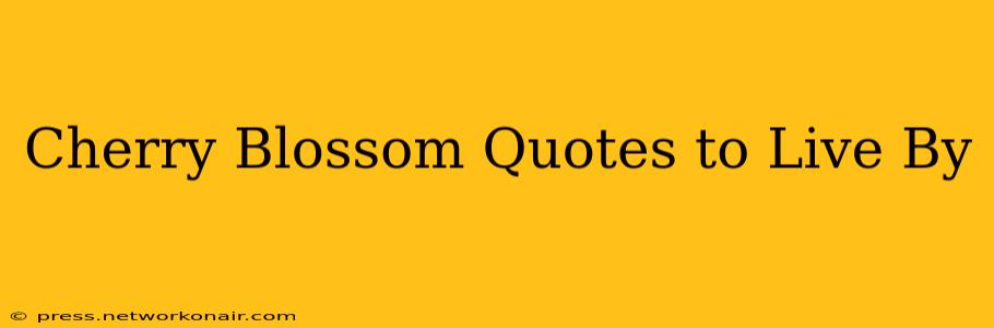Cherry Blossom Quotes to Live By