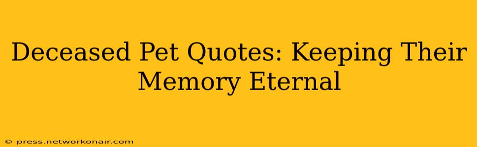 Deceased Pet Quotes: Keeping Their Memory Eternal