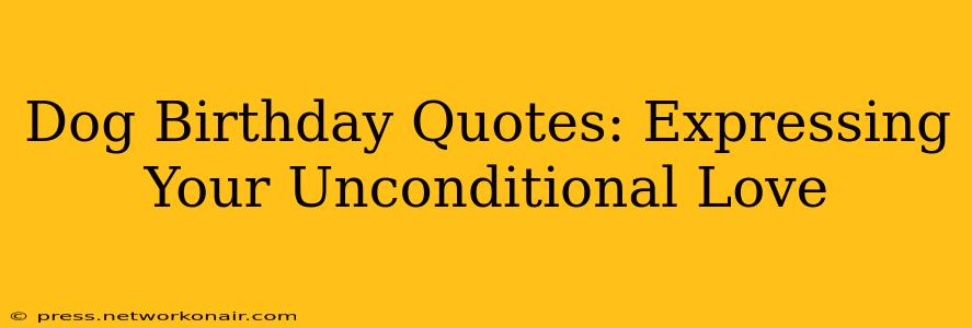 Dog Birthday Quotes: Expressing Your Unconditional Love