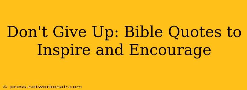 Don't Give Up: Bible Quotes to Inspire and Encourage