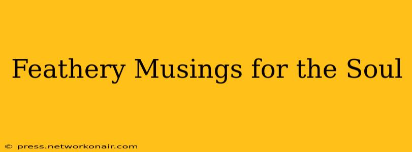 Feathery Musings for the Soul