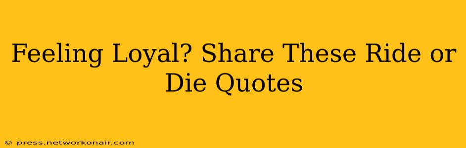 Feeling Loyal? Share These Ride or Die Quotes