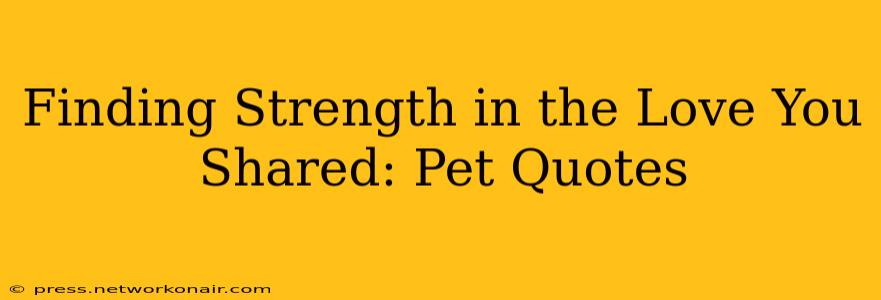 Finding Strength in the Love You Shared: Pet Quotes