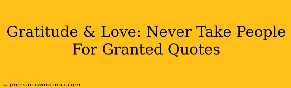 Gratitude & Love: Never Take People For Granted Quotes