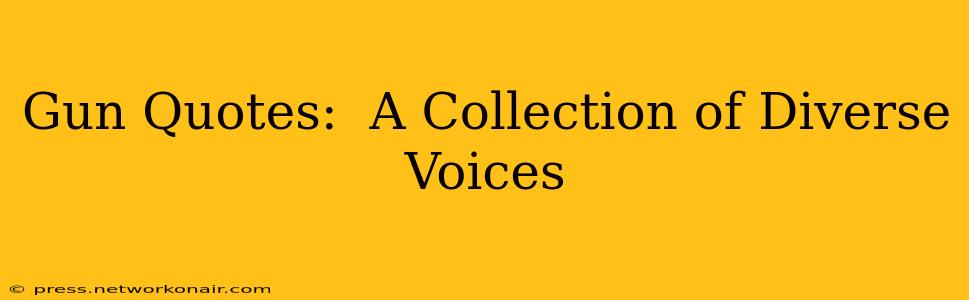 Gun Quotes:  A Collection of Diverse Voices