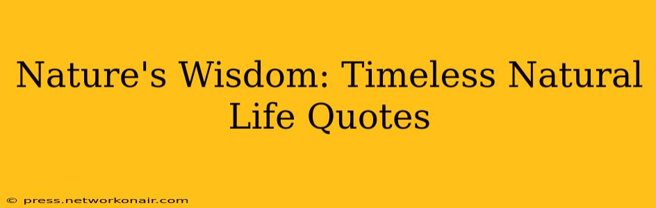 Nature's Wisdom: Timeless Natural Life Quotes