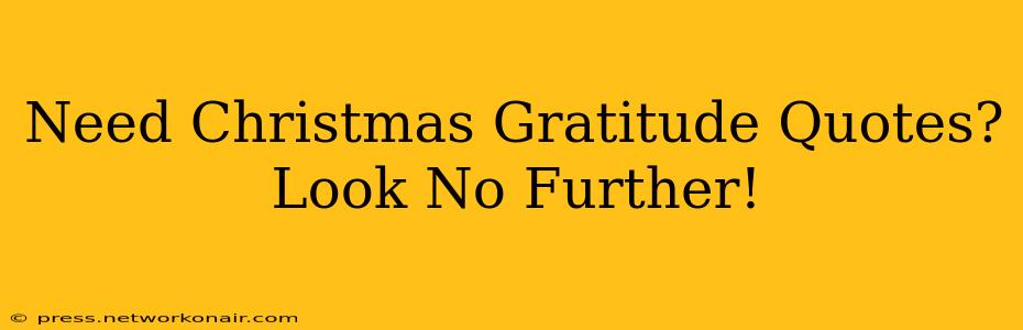 Need Christmas Gratitude Quotes? Look No Further!
