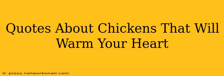 Quotes About Chickens That Will Warm Your Heart