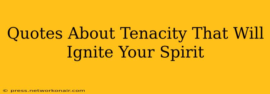 Quotes About Tenacity That Will Ignite Your Spirit