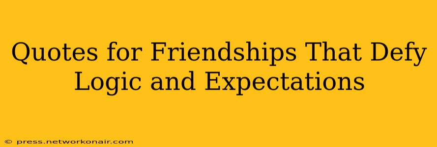 Quotes for Friendships That Defy Logic and Expectations