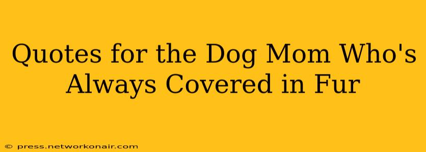 Quotes for the Dog Mom Who's Always Covered in Fur