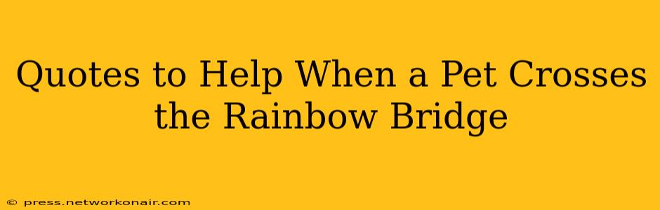 Quotes to Help When a Pet Crosses the Rainbow Bridge