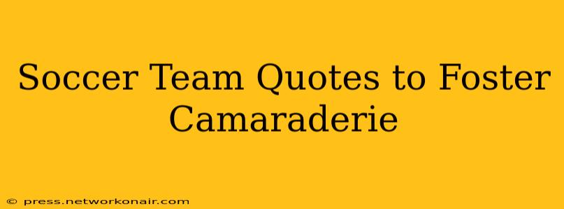 Soccer Team Quotes to Foster Camaraderie
