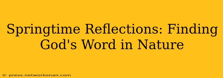 Springtime Reflections: Finding God's Word in Nature