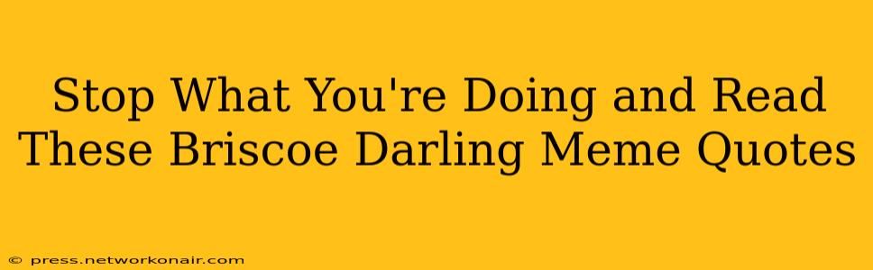 Stop What You're Doing and Read These Briscoe Darling Meme Quotes