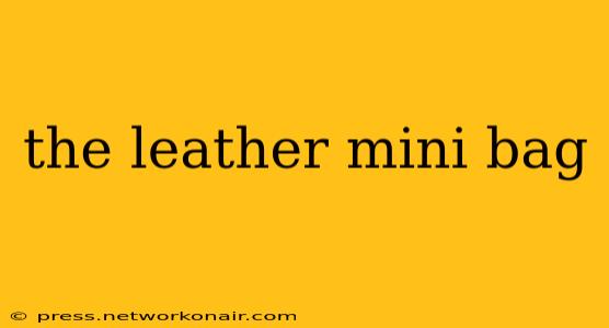 the leather mini bag