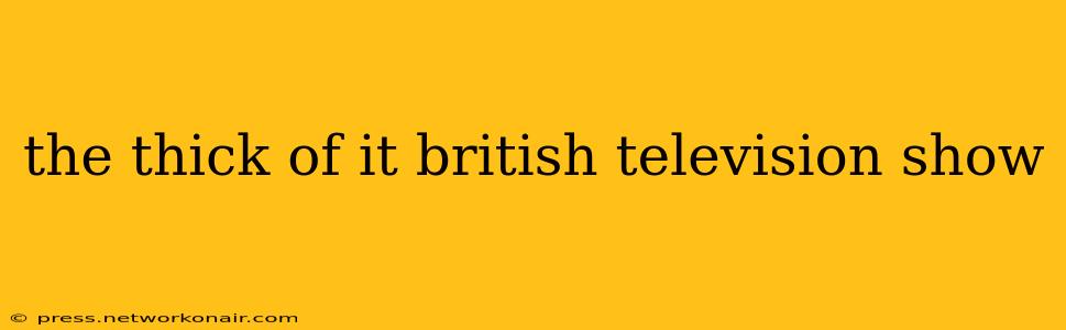 the thick of it british television show