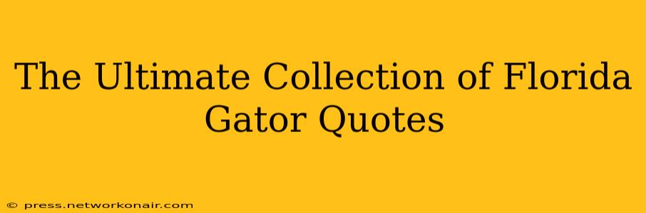 The Ultimate Collection of Florida Gator Quotes