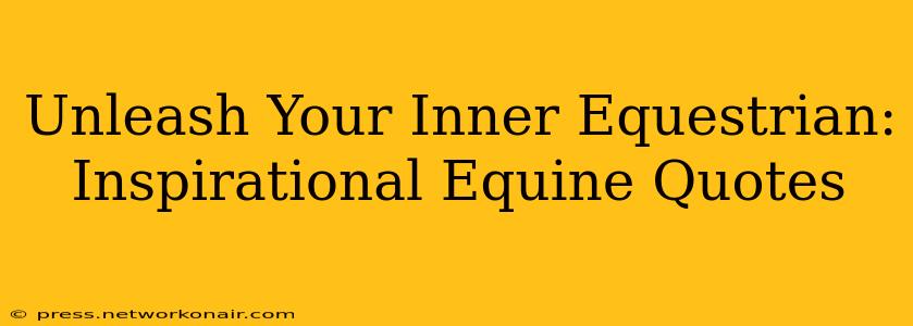 Unleash Your Inner Equestrian: Inspirational Equine Quotes