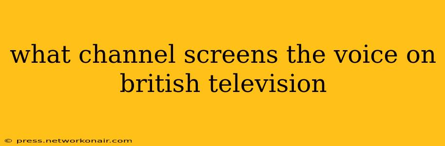 what channel screens the voice on british television