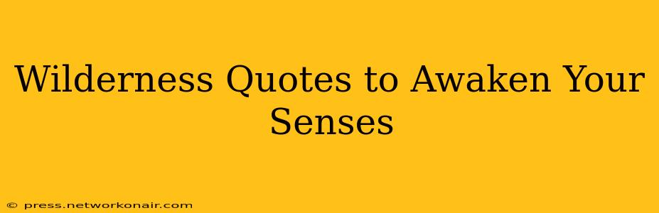Wilderness Quotes to Awaken Your Senses