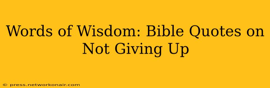 Words of Wisdom: Bible Quotes on Not Giving Up